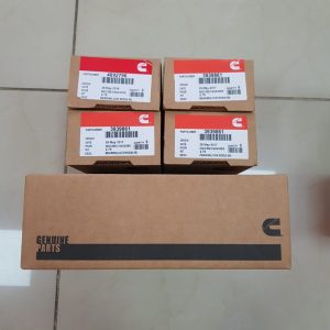 Kit Casquetes biela+Bancada Motor Cummins 6BT5-9 Medidas STD 0.25,0.50,0.75