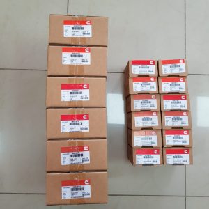 Kit Casquetes biela+Bancada Motor Cummins 6BT5-9 Medidas STD 0.25,0.50,0.75