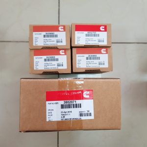 Kit Casquetes biela+Bancada Motor Cummins 6BT5-9 Medidas STD 0.25,0.50,0.75