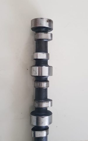 Arbol de Levas Motor Isuzu 6BG1