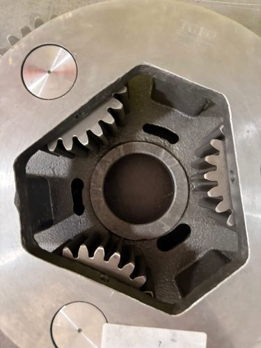 WhatsApp Image 2026-02-13 at 1.18.34 PM (1)