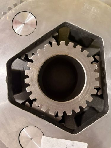 WhatsApp Image 2026-02-13 at 1.18.34 PM (3)